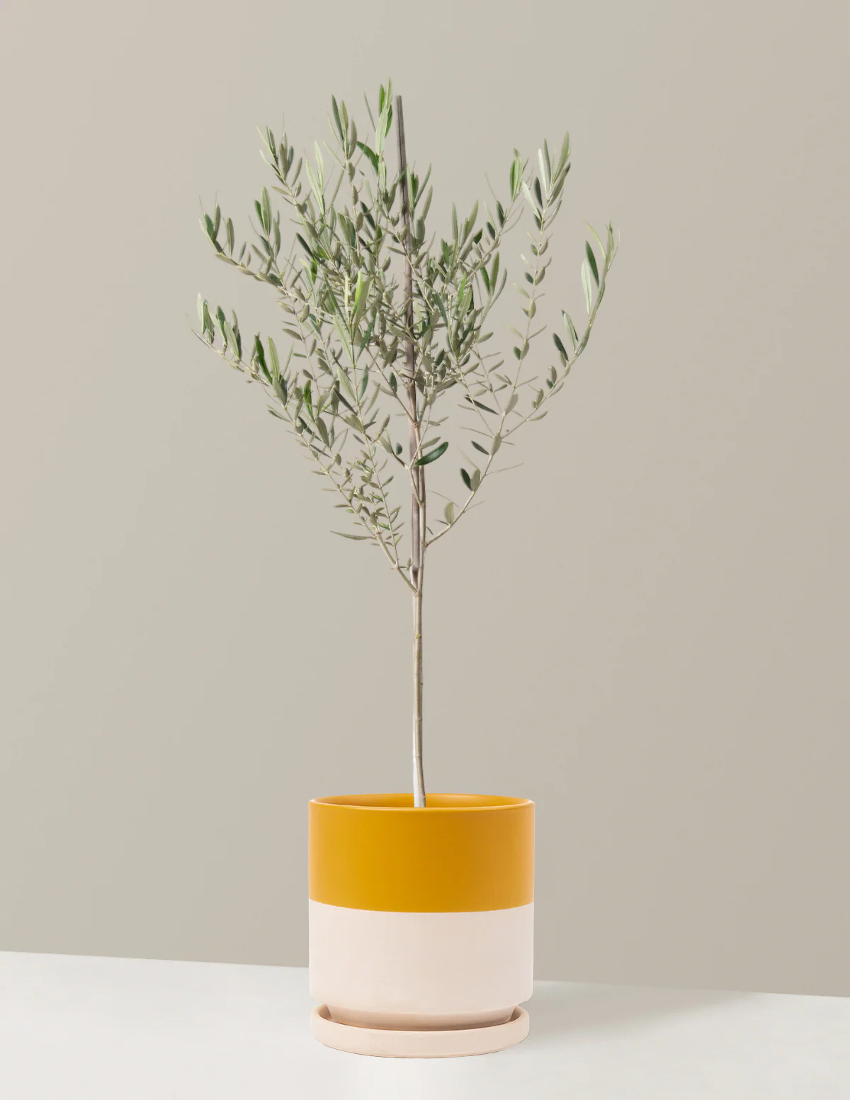 Product image 80