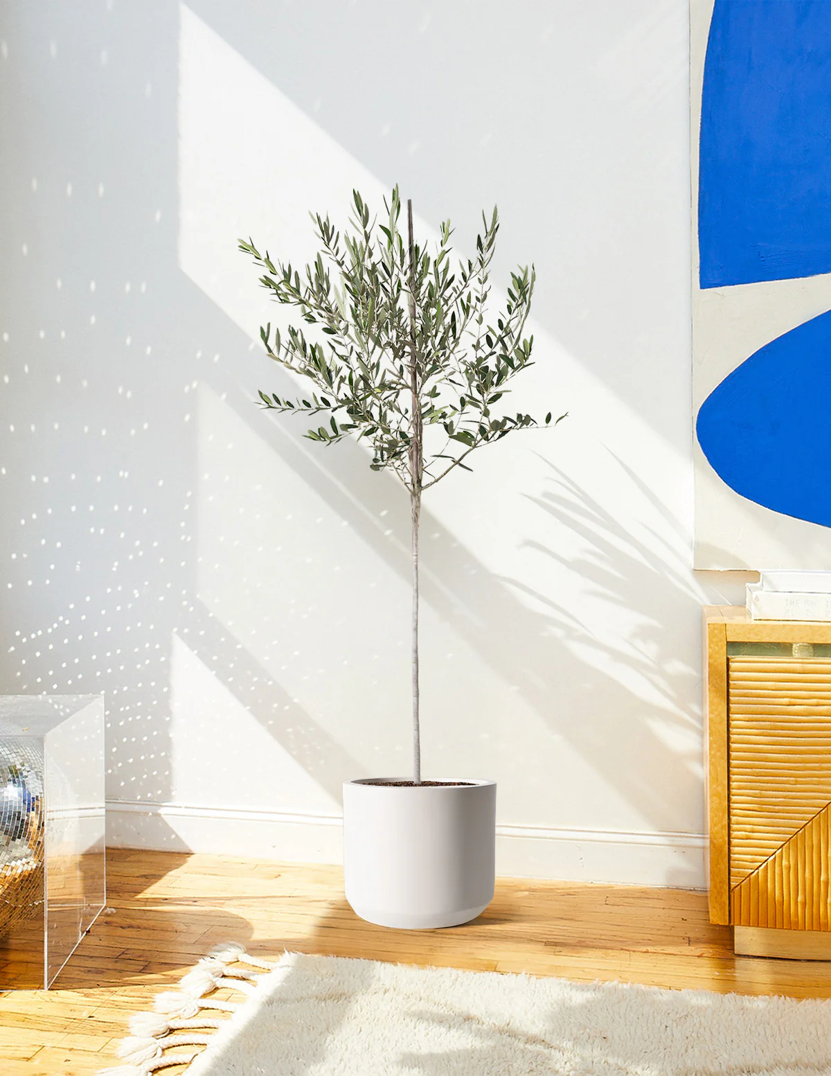 Product image 81