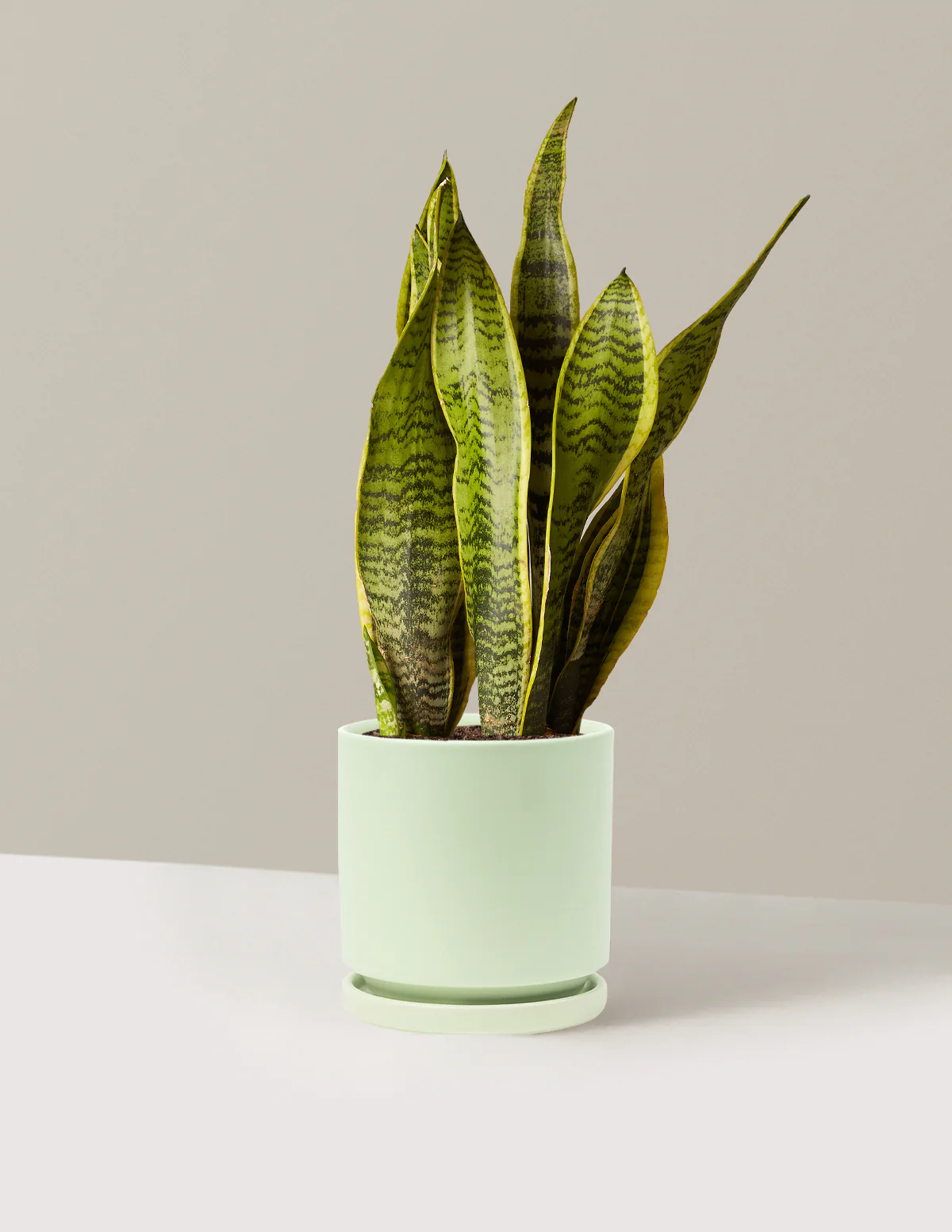 Product image 81